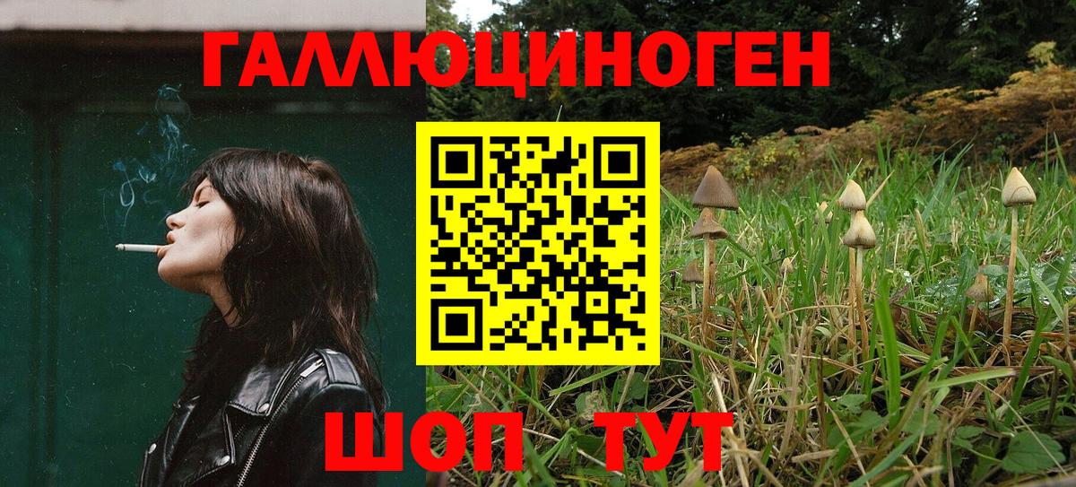 Псилоцибиновые грибы Cubensis  Вход с VPN  Славгород 